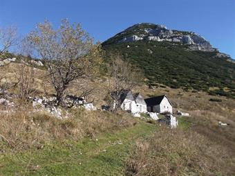 Con una serie di tornanti il sassoso tratturo a tratti selciato esce dal bosco, portandoci sugli ampi pascoli della Planina Kal, sovrastata dalla rocciosa mole del Tolminski Migovec.