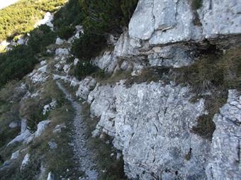 Il sentiero prosegue in salita fra i baranci, sotto le pareti erose dal carsismo superficiale, sfruttando una vecchia mulattiera della Grande Guerra.