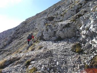 Dall'angusto valico percorriamo a ritroso un tratto del sentiero ed al bivio segnalato, onde evitare la risalita alla vetta dello Zeleni Vrh, prendiamo a sinistra.