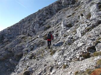 L'aereo sentiero percorre in leggera salita il versante meridionale del monte, ma dobbiamo comunque prestare attenzione a qualche tratto franato ed esposto.<br />