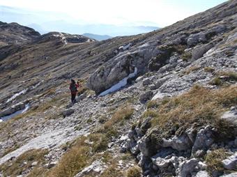 Dall'ampio valico lasciamo la prosecuzione del sentiero verso il Tolminski Kuk e seguendo alcune tracce scendiamo diagonalmente nella conca sottostante, puntando decisamente alla dorsale del Tolminski Migovec che qui ha origine.