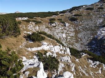 Con andamento sinuoso fra i baranci arriviamo ad una grande dolina che costeggeremo sulla sinistra con un ampio arco.