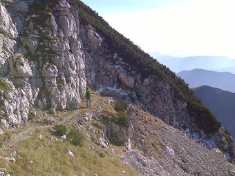 Tornati al bivio precedente riprendiamo la via del rientro scendendo alla Planina Kal.<br />