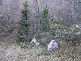 Dall'alpeggio scendiamo lungo il tragitto percorso all'andata, rammentandoci della deviazione segnalata a sinistra lungo la mulattiera fra la Planina Kal ed il bivio di quota 1315.