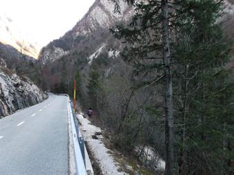 DESCRIZIONE: Percorso un breve tratto della rotabile diretta in Val Trenta, poco dopo la prima curva, in corrispondenza del km 19,5, approfittando di un varco del guard rail, imbocchiamo a destra un sentiero senza segnavia.