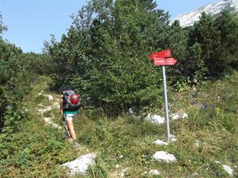 Lasciando a destra le indicazioni verso il Vogel, raggiunto lo scorso mese di giugno (vedi relazione relativa), proseguiamo a sinistra dirigendoci in salita alla baranciosa selletta fra Rusnati Vrh e Kopecko, dalla quale<br />con qualche saliscendi arrivi