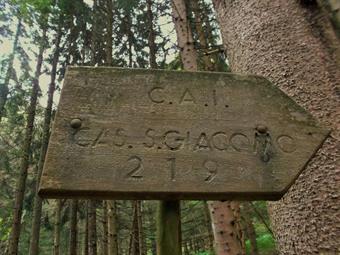 Un'erta salita nel bosco ci porta subito a guadagnare quota, incontrando lungo il percorso un vecchio cartello  riportante alcune indicazioni relative al sentiero CAI 219, ormai dismesso dal sodalizio alpino.