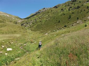 Il sentiero segnalato risulta evidente nel primo tratto, per poi perdersi nell'erba verso i 2000 metri, alla confluenza di alcuni rii secondari, provenienti dalla dorsale fra il M.Vancomun ed il  Col Chiastelin, con il torrente Val Carnia.