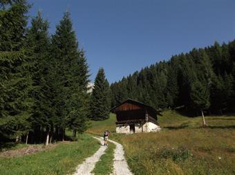 Al termine di un lungo rettilineo lasciamo il Sentiero naturalistico Miravalle diretto alla borgata Bach e svoltiamo a destra, seguendo ora le indicazioni del Sentierio naturalistico Monte della Piana.