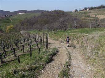 Effettivamente dal borgo di Jordano, si stacca verso ponente una carrareccia fra i vigneti, diretta al fondovalle percorso dall'affluente principale di riva sinistra del rio Fedrih/Fidri, ma raggiuntolo si esaurisce e l'eventuale risalita sul versante opp