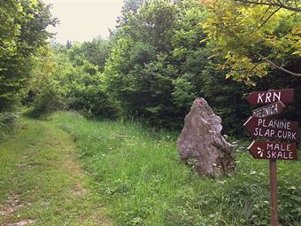 Tornati alla carrareccia, ne seguiamo l'andamento verso occidente, incontrando lungo il cammino un incrocio con il sentiero segnalato diretto al Krn, proveniente dal parcheggio di Drežnica.