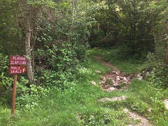 Nei pressi di un'abitazione, abbandonato definitivamente lo sconnesso sterrato, seguiamo a destra un sentiero segnalato con bolli e linee rosse, inoltrandoci nella rigogliosa boscaglia.
