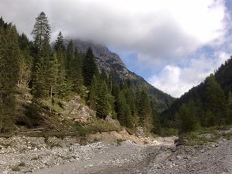 Ritornati sulla sponda sinistra del Piave, raggiungiamo i Piani del Cristo dove, transitando brevemente nel chiassoso parcheggio, riprendiamo il sentiero naturalistico.