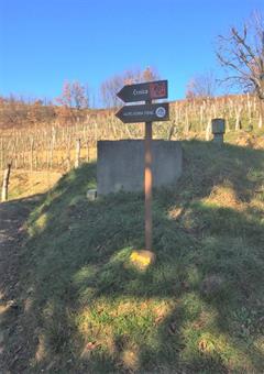In zona troviamo le indicazioni del 2° percorso delle ciliege, dedicato alla varietà "Črnica", già incontrato nelle precedenti camminate nella Goriška Brda, in comune con il tratto 30 dell'Alpe Adria Trail.