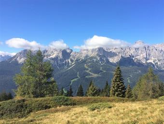 A ponente le inconfondibili Dolomiti occhieggiano fra gli abeti.