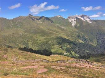 Raggiungiamo in breve la vetta del Col de la Crodata (2310), caratterizzata da un misero ometto di sassi ed un ampio panorama sulla Val Digon.
