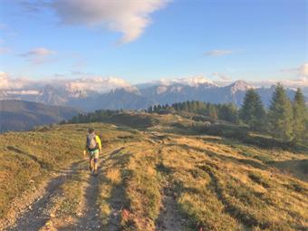 Raggiunto il Monte Spina, rientriamo nell'ombroso bosco del Coston Sommo.