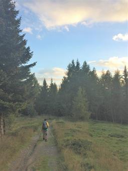 Nei pressi della radura con il crocifisso, una breve scorciatoia con qualche schianto arboreo permette di evitare alcune svolte.