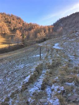 Senza raggiungerla, al successivo bivio svoltiamo a sinistra e costeggiando i paletti di una recinzione pascoliva, arriviamo al fondo dell'ampia conca prativa.