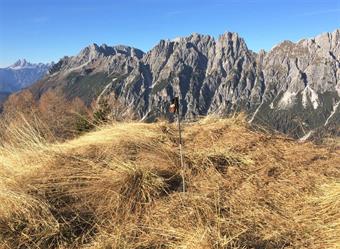 La vetta del Monte Verna (2106), invasa dalla crocchiante erba secca, non presenta nessun segno identificativo, ma offre comunque un panorama straordinario.