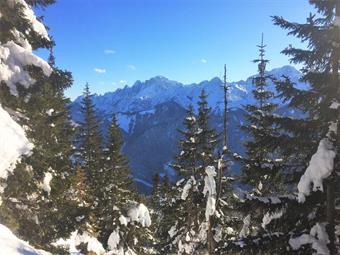 A breve distanza una radura offre comunque alcuni squarci panoramici sulle Alpi Giulie.
