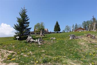 I prati della Tschafonhütte