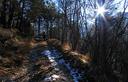 03-La pista forestale sul versante meridionale del monte Staulizze