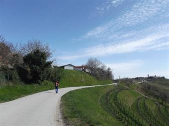 La sconnessa rotabile in gran parte sterrata, ci riporta con alcune ampie svolte al borgo di Vrh/Verco ed al parcheggio, incontrando lungo il cammino una diramazione del percorso 6, proveniente  da sinistra.