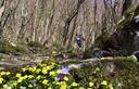 05-Fioritura primaverile nella valle di Pradolino