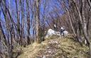 09-Lungo il sentiero naturalistico Pradolino Monte Mia