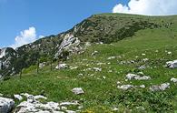 Monte Rest dal Passo di Monte Rest