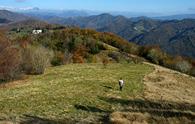 Sulla dorsale del monte Cum da Castelmonte a Rucchin