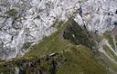05-L'affilato crinale erboso della Cresta Verde