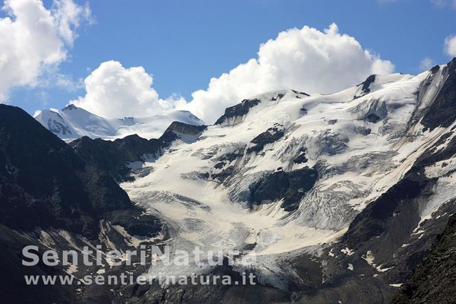 07-I ghiacciai della cima di Solda