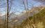 Panorama tra i rami salendo al Monte Tanarobo. 29/1/2017