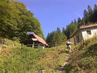 L'ampio tracciato segnalato s'innalza gradualmente con alcune ampie svolte nel bosco, imboccando quindi un'erta scorciatoia e raggiungendo infine l'amena radura con la Lovska koča  na  Vrhru Bače.