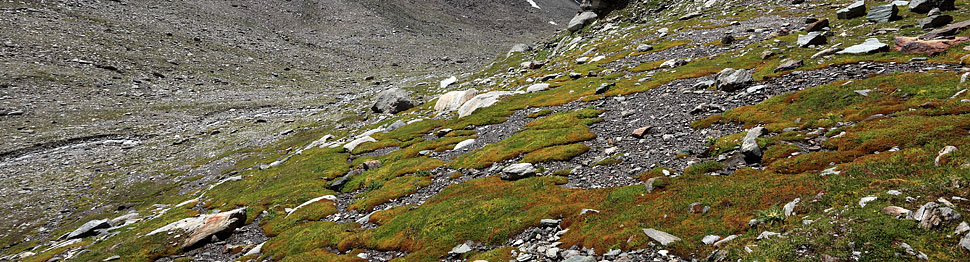 Ambiente alpino alla testata della Valle Rossa
