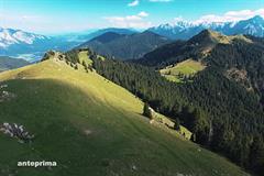 SentieriNatura 2016 - 37 - Il monte Osternig e le opere del Vallo Alpino