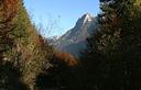 15-La cima del Lago dalla strada forestale di malga Grantagar