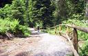 03-Primo tratto del sentiero didattico forestale del Bosco Flobia