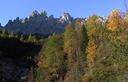 09-Larici in abito autunnale presso il rifugio Giaf