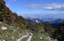 27-Boscaglia in aspetto autunnale lungo la mulattiera per casera Teglara