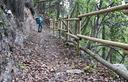 03-Protezioni in legno lungo il troi di Cjabie