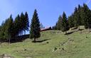 01-In vista del rifugio forestale di Ciurciule