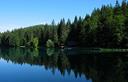 01-Il lago inferiore di Fusine immerso nel bosco di conifere