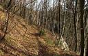 27-Lungo il sentiero CAI n.746 nei boschi della Val Codariana