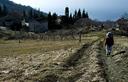 10-Lungo il sentiero che da Valle sale al monte San Lorenzo