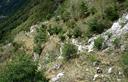 28-Sulle pendici meridionali del monte Roppa Buffon