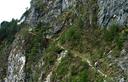 27-Cengia erbosa lungo le pendici orientali del monte Pisimoni