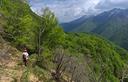 27-Lungo il vecchio sentiero per casera Polose alle pendici del monte Nischiuarch